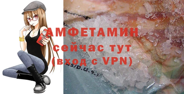 сатива Дмитриев