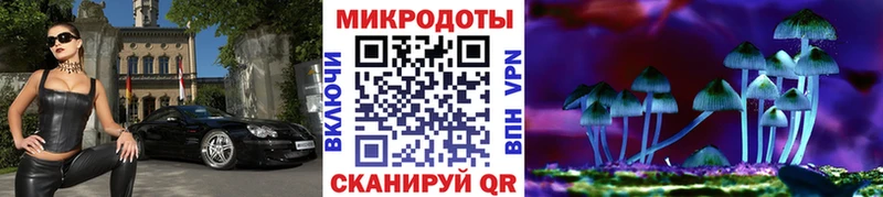где купить наркотик  Камышин  Галлюциногенные грибы GOLDEN TEACHER 