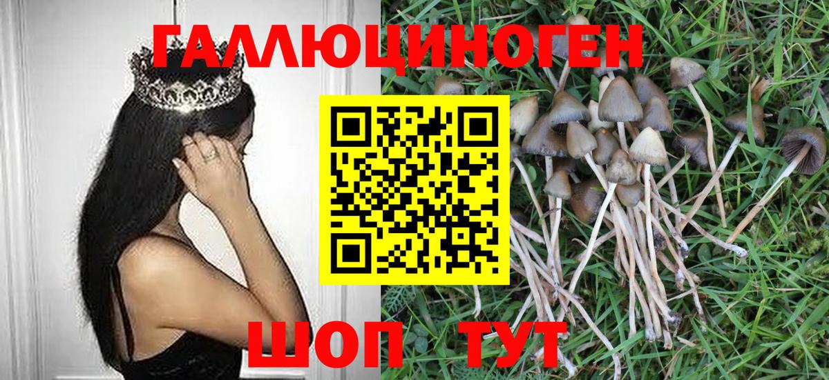Галлюциногенные грибы MAGIC MUSHROOMS Камышин