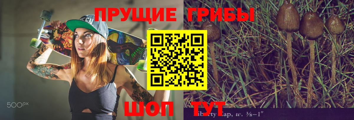 Галлюциногенные грибы мицелий  Галлюциногенные грибы прущие грибы  Вход с VPN  Камышин 